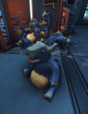 Plush gorge.jpg