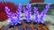 Purple Stalk01.jpg