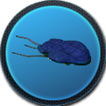 Thumbnail for version as of 22:11, 20 August 2016