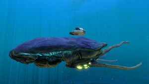 Reefback (1).jpg
