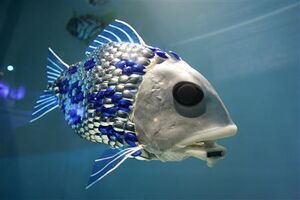 Robo fish.jpg