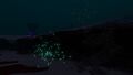 Shoal of Hoopfish and Boomerangs at Night