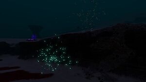 Shoal of Fish (6).jpg