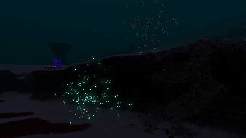 File:Shoal of Fish (6).jpg