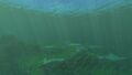 The Border Between the Kelp Forest And the Crag Field