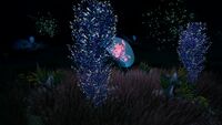 A Cave Bush in the Sea Treader's Path