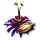 Antennae Seed Icon.png