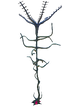 Bloodvine Flora.png