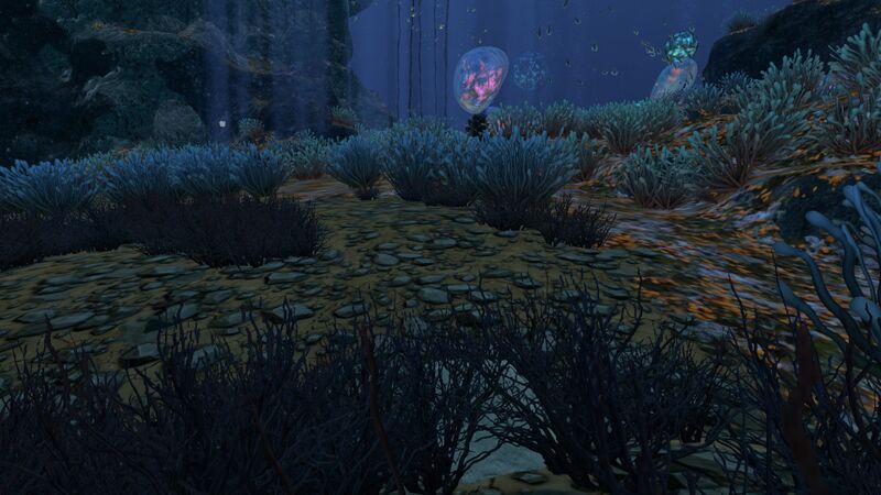 File:Grand Reef (6).jpg
