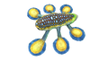 Thumbnail for version as of 13:27, 12 October 2016