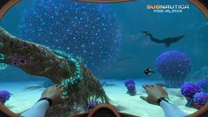 KooshBushZone 02-1024x640.jpg
