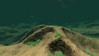 A terrain formation in the Aquarium