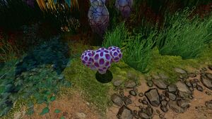 SpeckledRattlerDay.jpg