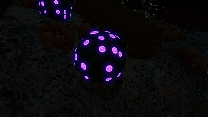 File:SporeSackNight.jpg