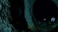 A view from one of the entrances to the cavern system found inside the tunnel