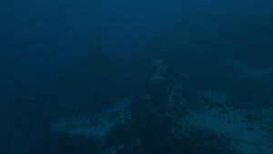 2016-02-11 00037.jpg