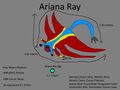 Thumbnail for version as of 11:51, 23 August 2016