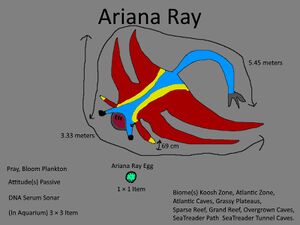 Ariana Ray Concept.jpg