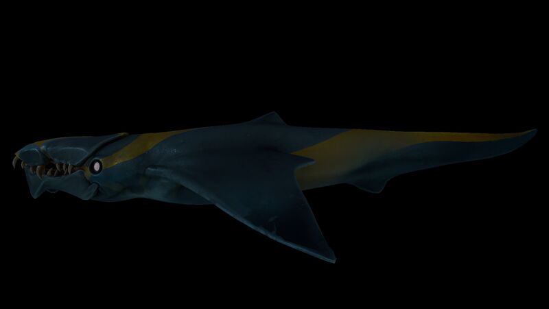 File:Brute Shark Night.jpg