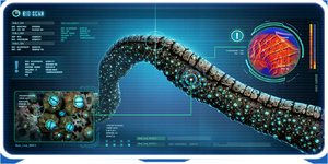 Coral Bridge Ency.png