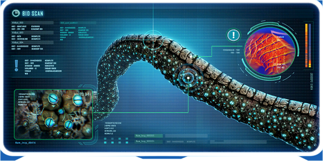 Coral Bridge Ency.png