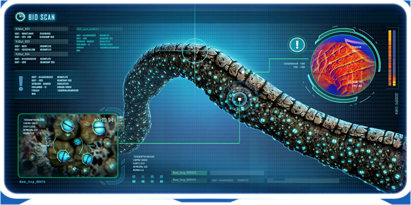 File:Coral Bridge Ency.png