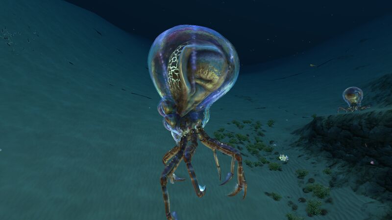 File:CrabsquidSideShot.jpeg