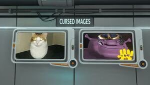 Oe.jpg
