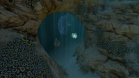 Another entrance to another cave
