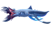 Squidshark Fauna.png