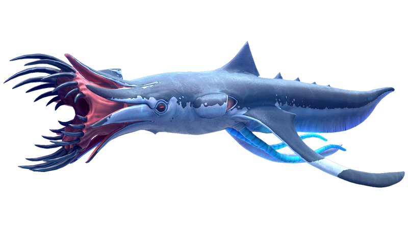 File:Squidshark Fauna.png