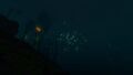 Boomerang cluster at Night in Creepvine forest