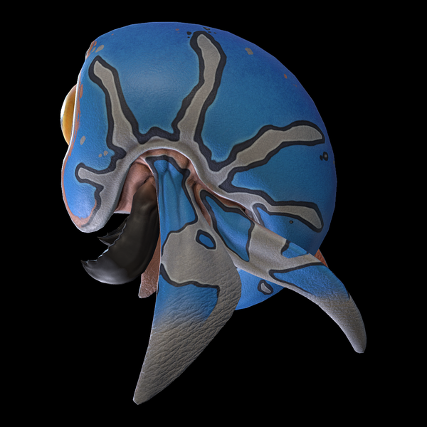 File:Blue Trivalve Side View.png