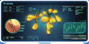 Creepvine Seed Cluster DB.png