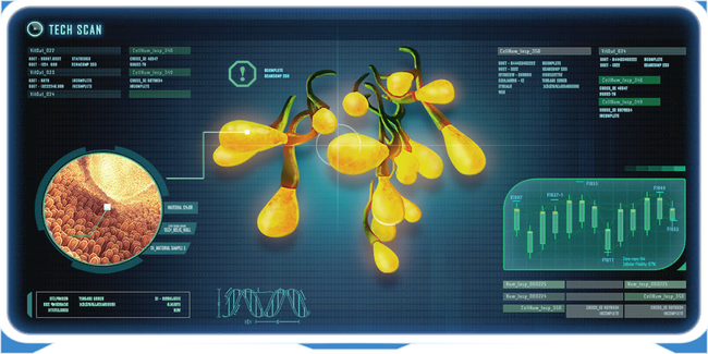 Creepvine Seed Cluster DB.png