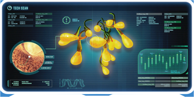 Creepvine Seed Cluster DB.png