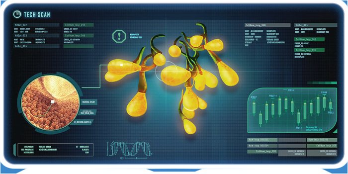 Creepvine Seed Cluster DB.png
