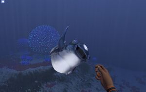 Cutefishtreat.jpg