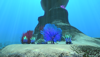 Various flora and coral in the Grassy Plateaus