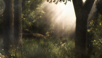 "Overgrowth"