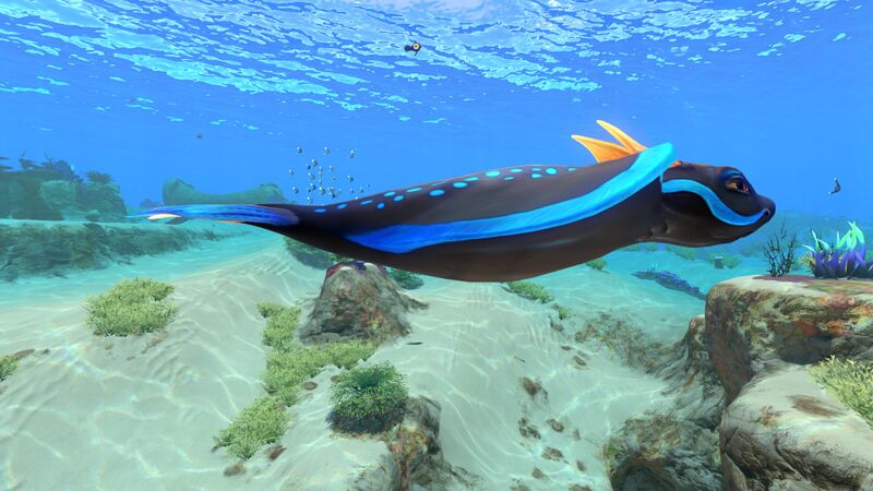 File:RabbitRay3.jpg