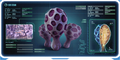 Thumbnail for version as of 06:22, 7 August 2021
