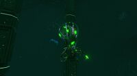 An infected Crabsquid in the Lost River