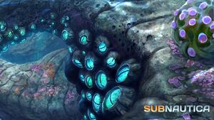 Bluebarnaclesconcept.jpg