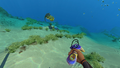 Thumbnail for version as of 02:01, 5 February 2020