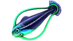 Hoopfish Fauna.png