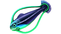 Hoopfish Fauna.png