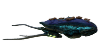 Reefback Fauna.png