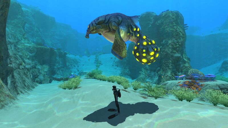 File:SizerefGasopod.jpg