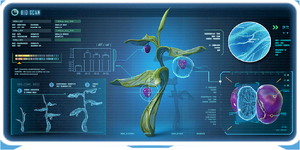 Snow Stalker Fruit Plant Ency.png